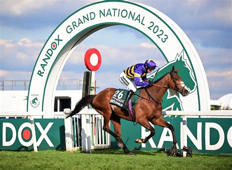 finishers grand national 2023